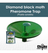 Chipku Pheromone Water Trap with DBM Lure (Combo Pack of 6)